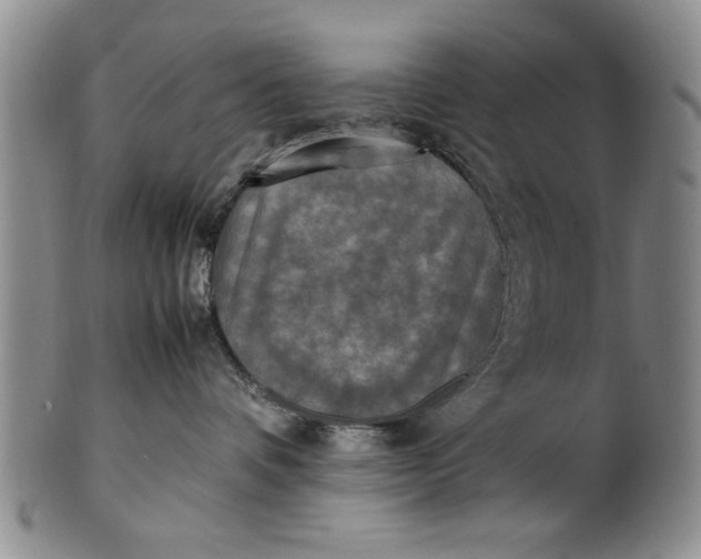 X0000102250336200808081416