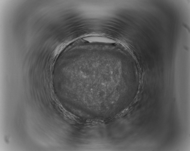 X0000102250337200808081415