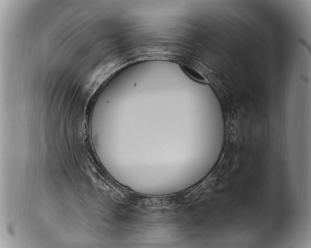 X0000102250338200808081415