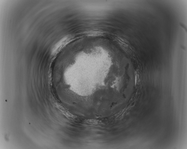 X0000102250339200808081415