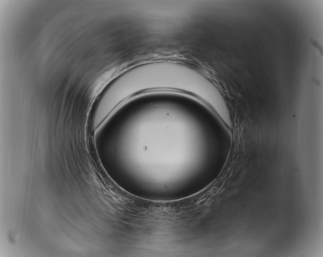 X0000102250340200808081415