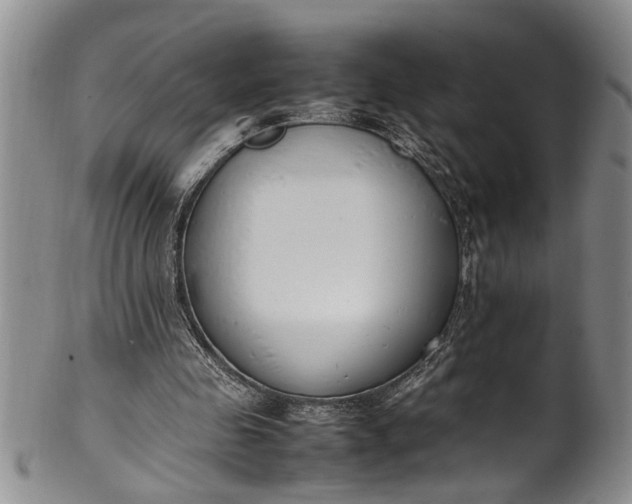 X0000102250341200808081415