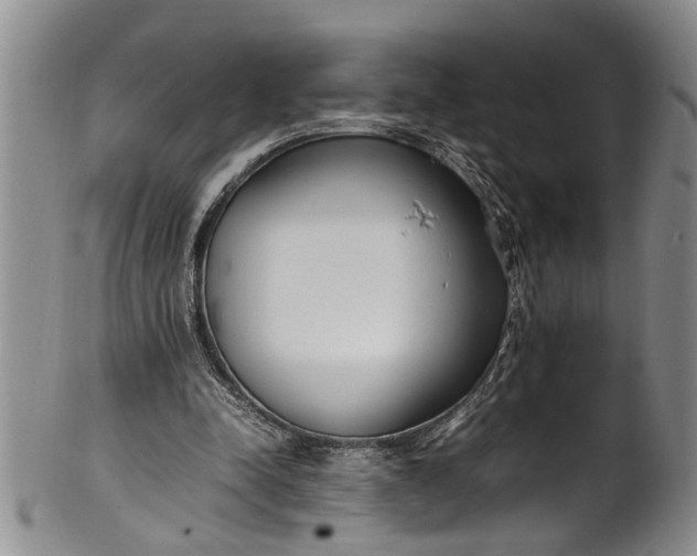 X0000102250342200808081415