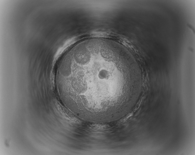 X0000102250343200808081415