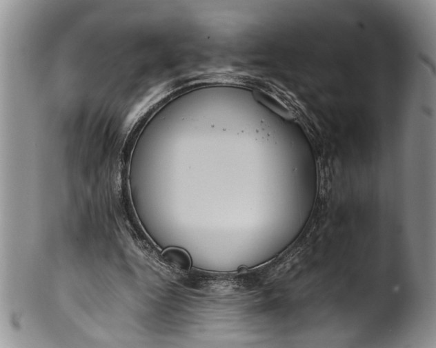 X0000102250344200808081415