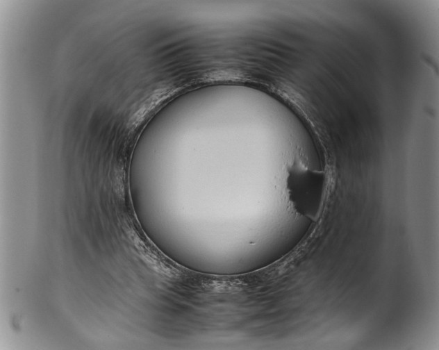 X0000102250345200808081415