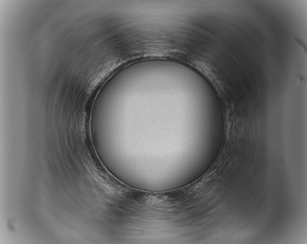 X0000102250346200808081415