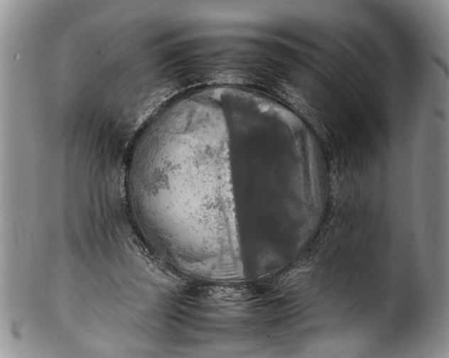 X0000102250347200808081415