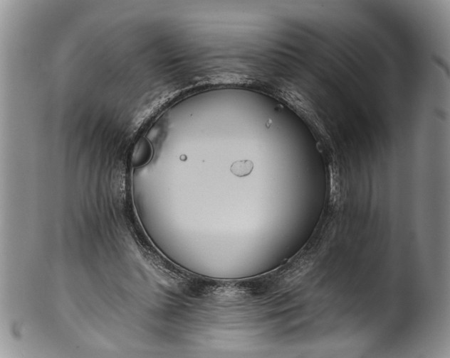 X0000102250348200808081415