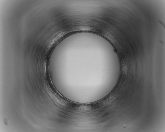 X0000102250350200808081416