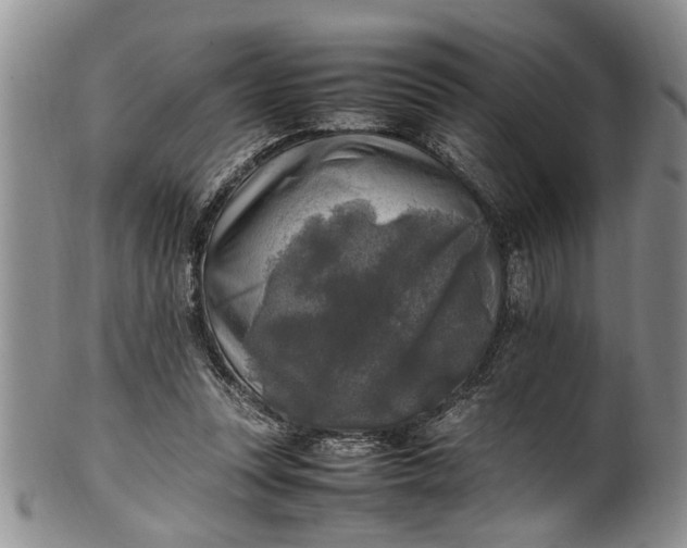 X0000102250351200808081416