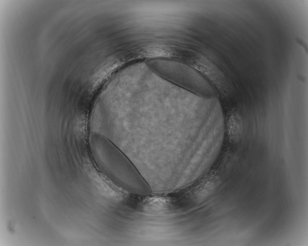 X0000102250352200808081416