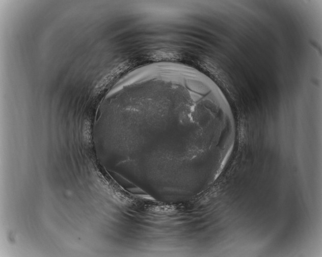 X0000102250353200808081416