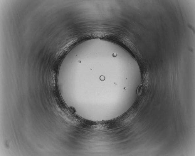 X0000102250356200808081416