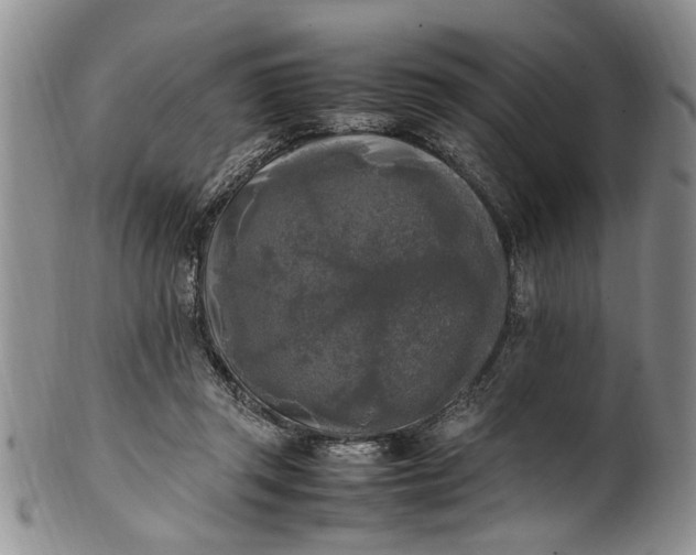 X0000102250357200808081416