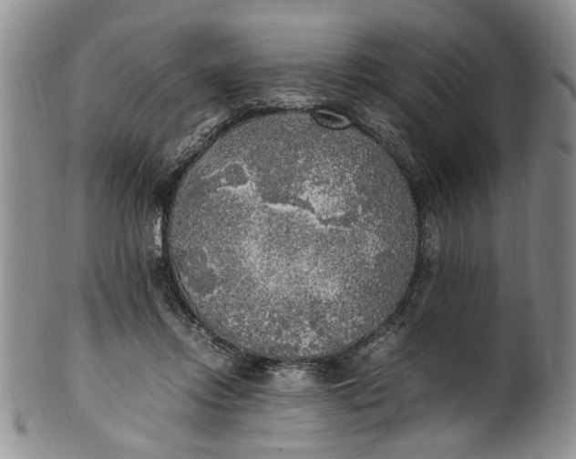 X0000102250358200808081416