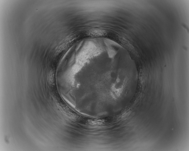 X0000102250359200808081416