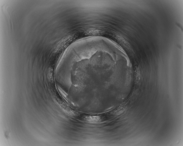 X0000102250361200808081416