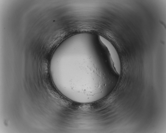 X0000102250362200808081416