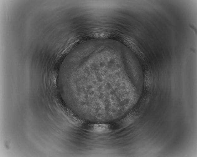 X0000102250363200808081416