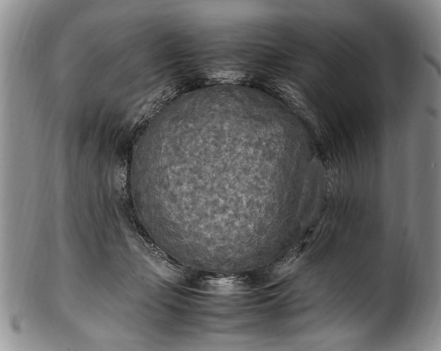 X0000102250365200808081416