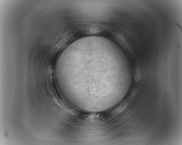 X0000102250366200808081416