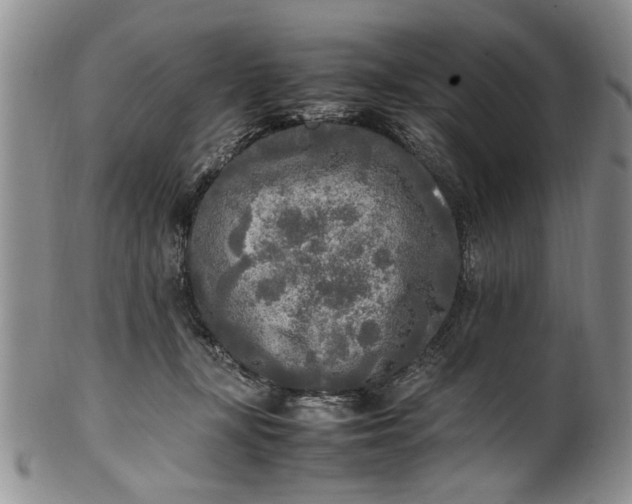 X0000102250367200808081416