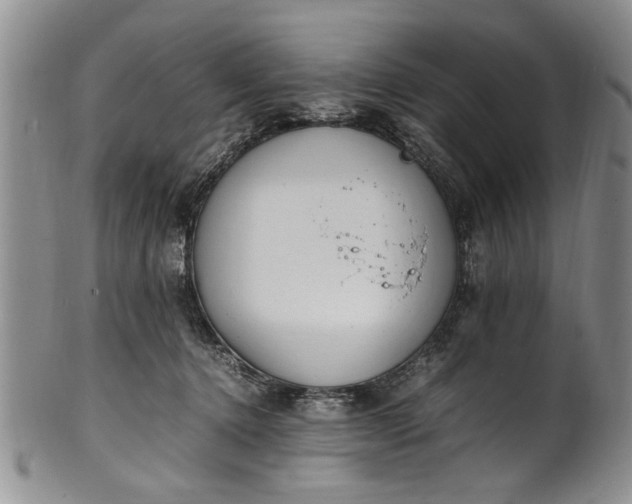 X0000102250368200808081416