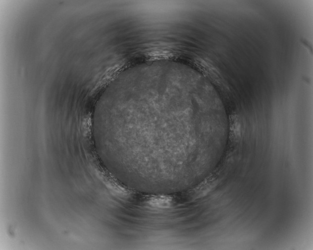 X0000102250369200808081416