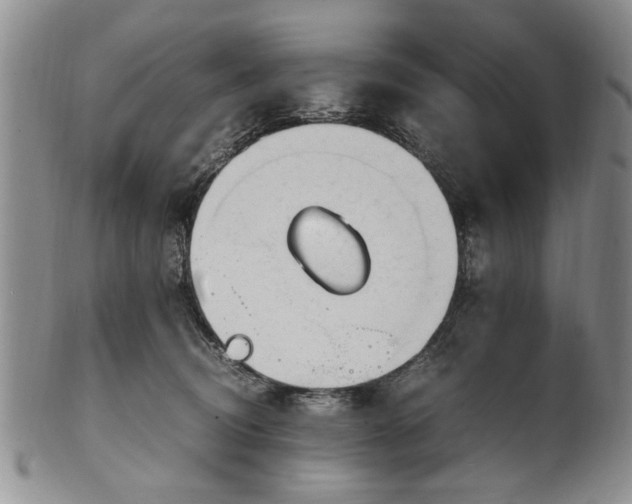 X0000102250370200808081416