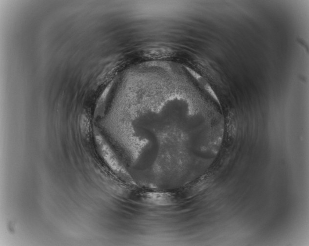 X0000102250371200808081416