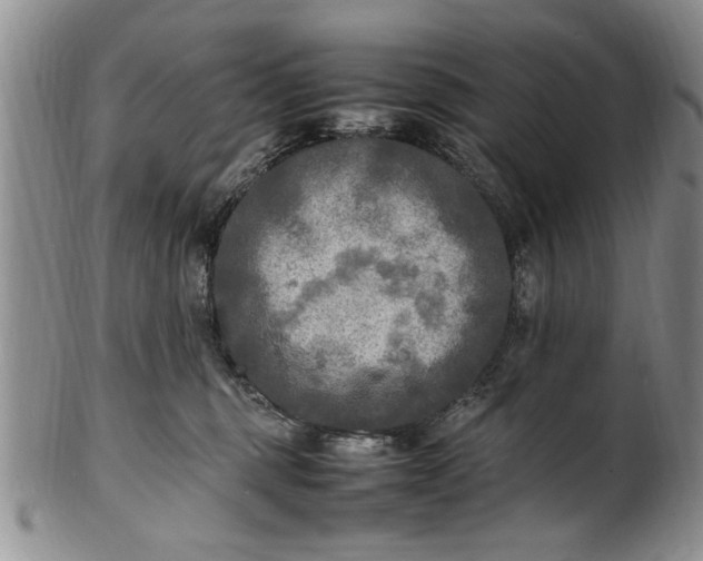 X0000102250375200808081416