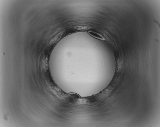 X0000102250376200808081416