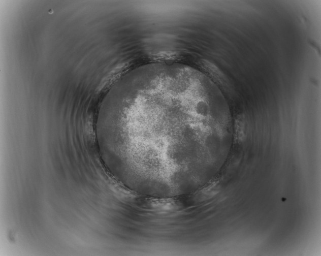 X0000102250377200808081416