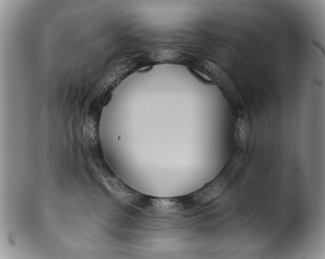 X0000102250380200808081416