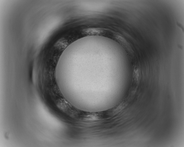 X0000102250381200808081416