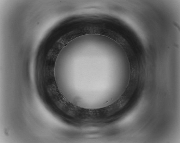 X0000102250383200808081416