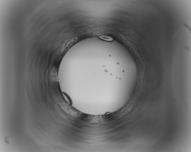 X0000102250384200808081416