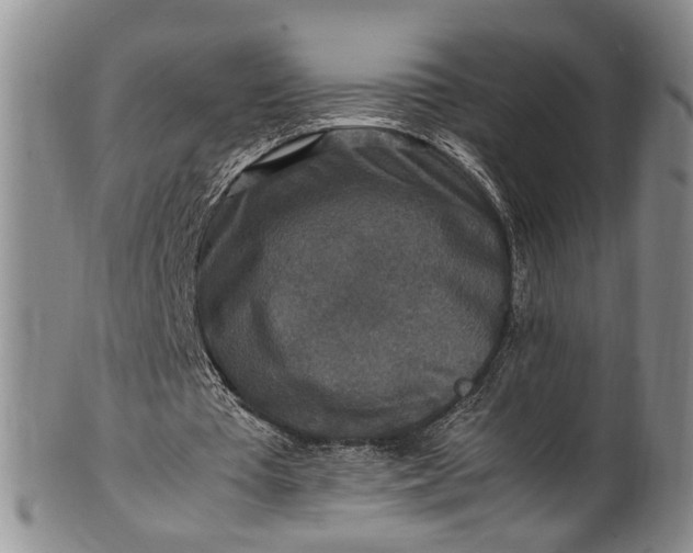 X0000102250385200808081415