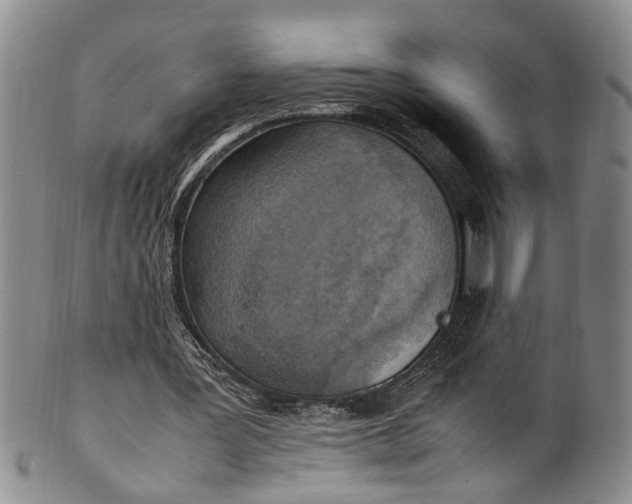 X0000102250387200808081415