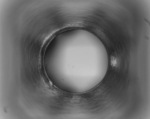 X0000102250388200808081415