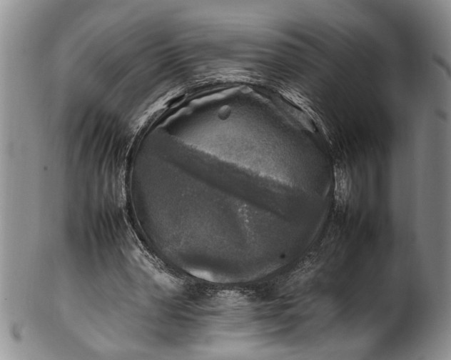 X0000102250390200808081415