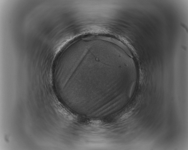 X0000102250391200808081415