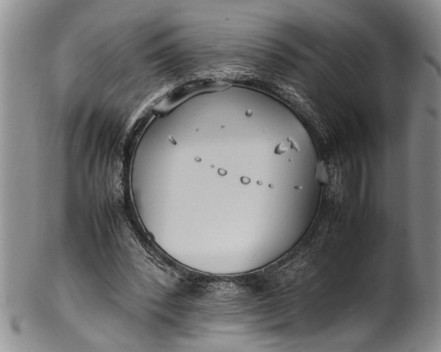 X0000102250392200808081415