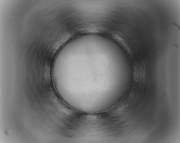 X0000102250394200808081415