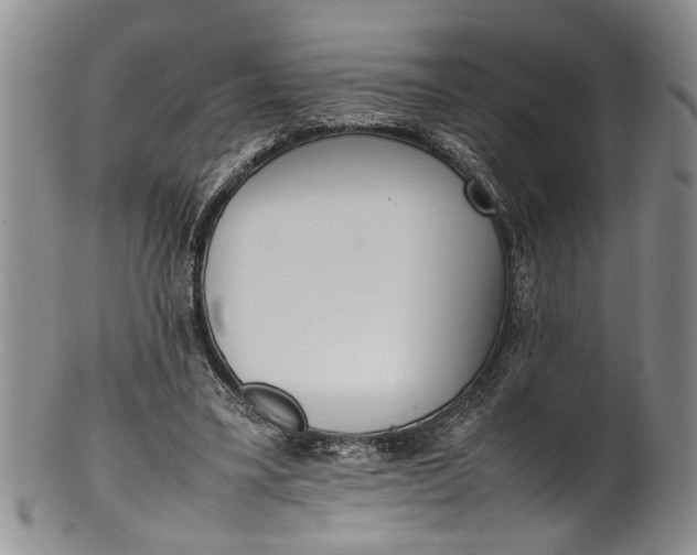 X0000102250395200808081415