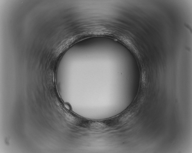 X0000102250397200808081415