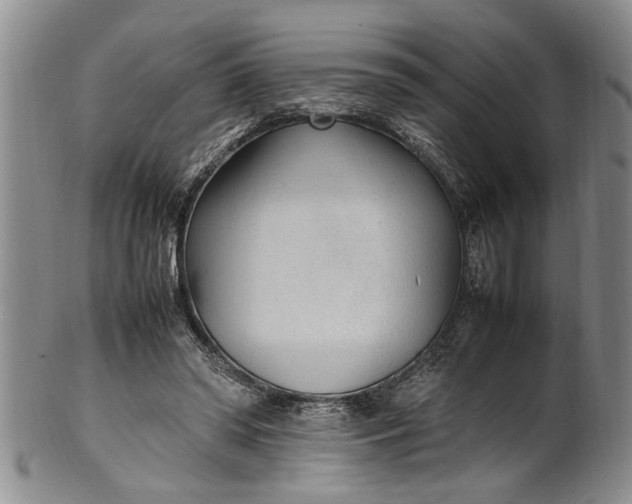 X0000102250398200808081415