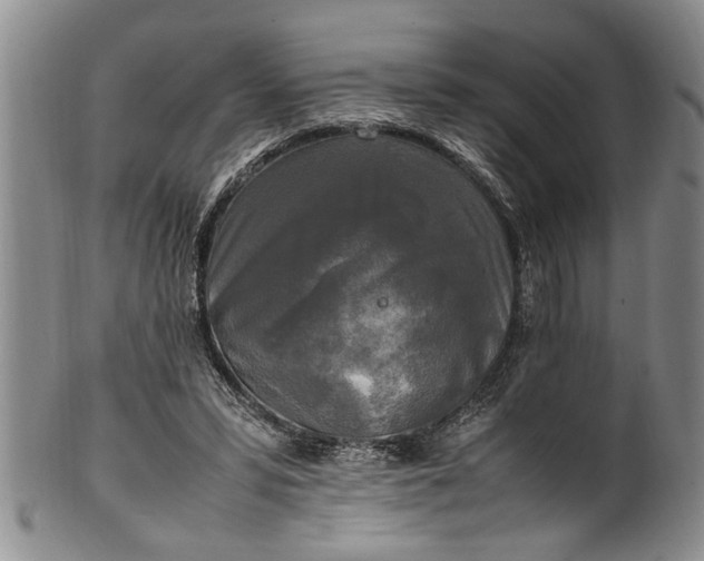 X0000102250399200808081415