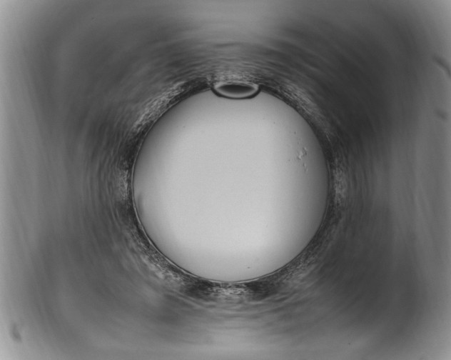 X0000102250401200808081415